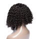 Curly Lace Front Bob Wigs, 100% Human Hair Wigs On Sale 0 small