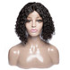 Curly Lace Front Bob Wigs, 100% Human Hair Wigs On Sale